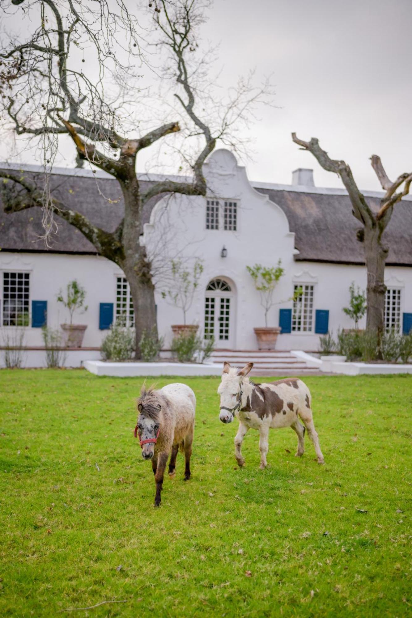 San Gabriel Homestead Somerset West Zewnętrze zdjęcie